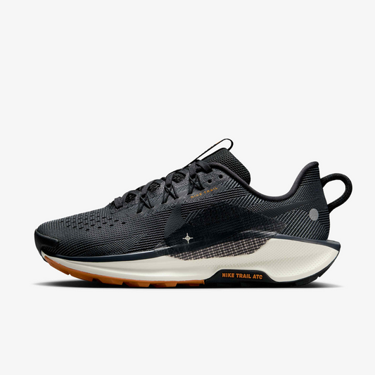 Nike Pegasus